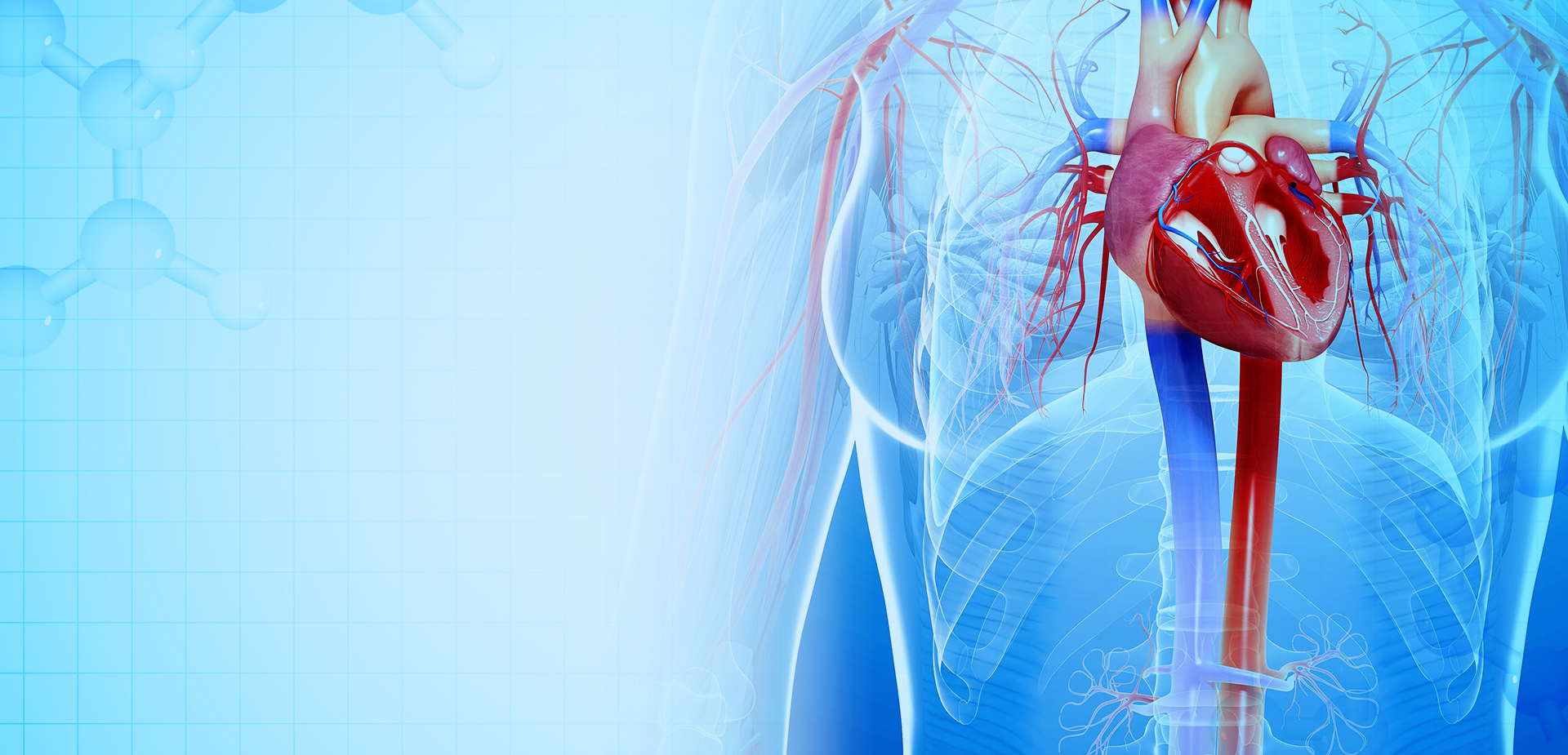 Ningbo Linstant Polymer Materials Co ,. Ltd.